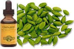 Cardamom